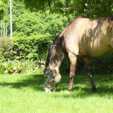 In idyllicher Umgebung