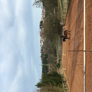 Bild: Stall in  Bexbach