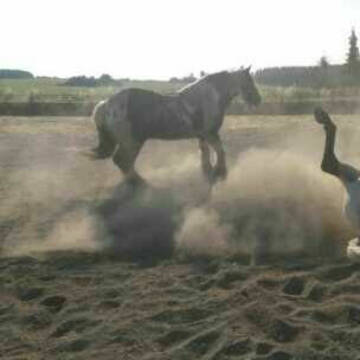 Unser Sandplatz 40 x 30