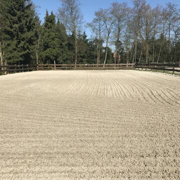 Bild: Stall in  Wardenburg