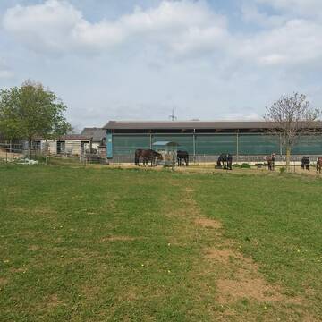 Bild: Stall in  Hemmingen