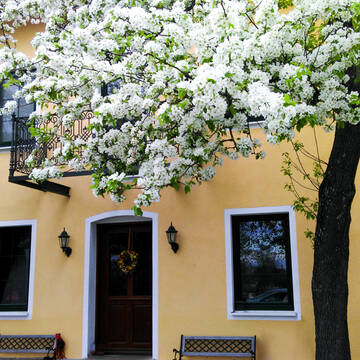 Bild: Stall in  Oberding