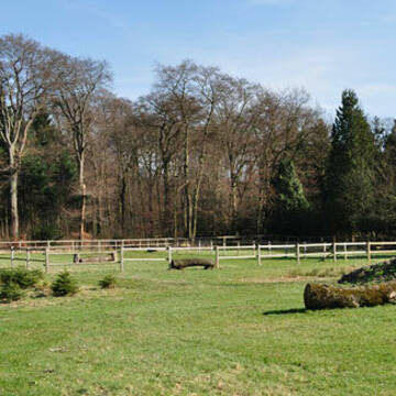 Bild: Stall in  Garath