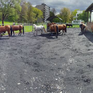 Bild: Stall in  Iserlohn