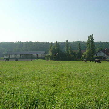 Bild: Stall in  Leonberg