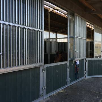 Boxen mit 24 h Heu verfügbar