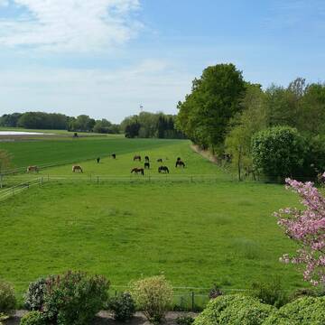 Bild: Stall in  Borgholzhausen