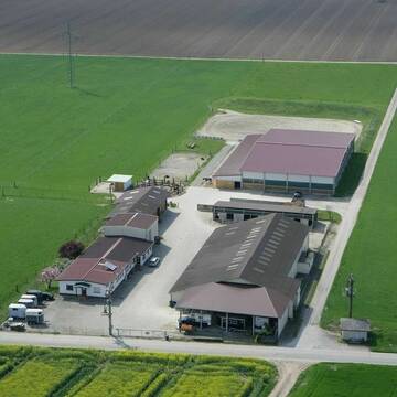 Bild: Stall in  Buggingen