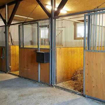 Pferdebox Innen (ca.3,20 x 3 m  bis 3,70 x 4,20 m)