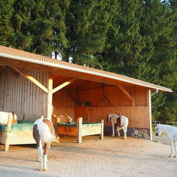 Bild: Stall in  Hohenpeißenberg