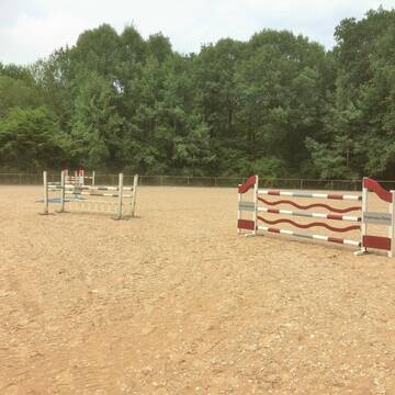 Bild: Stall in  Heroldsberg