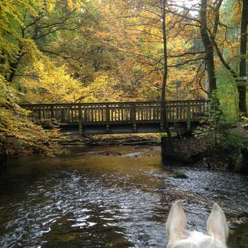 Bild: Stall in  Reinbek
