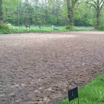 idyllischer Reitplatz 20x60