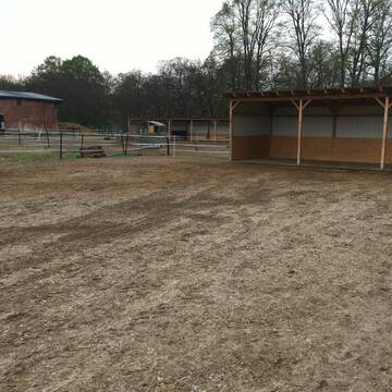 Offenstall - Wallach Gruppe Vollpension