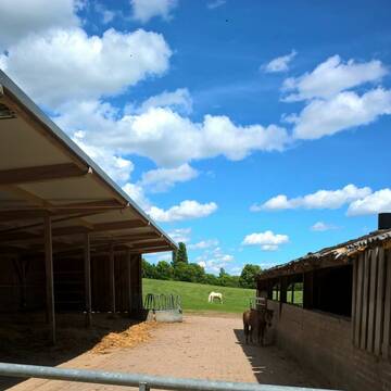 Seniorenstall, aber wo sind die Pferde?