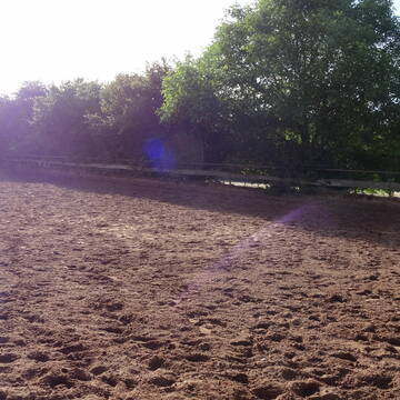 Bild: Stall in Altleiningen