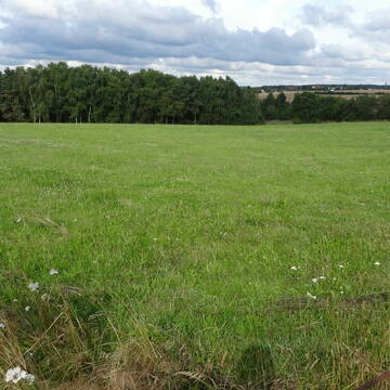 Bild: Stall in  Altleiningen