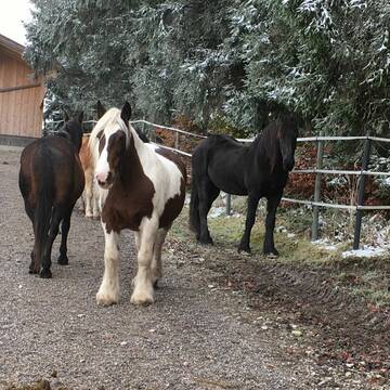 Trail mit Unterstand
