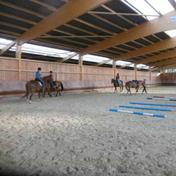 Bild: Stall in  Bornheim