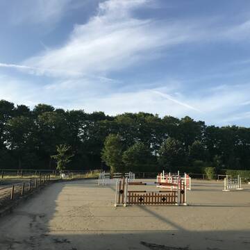 Bild: Stall in  Olfen