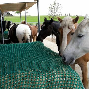 24 h Heuraufen (5 Stück für 15 Pferde)