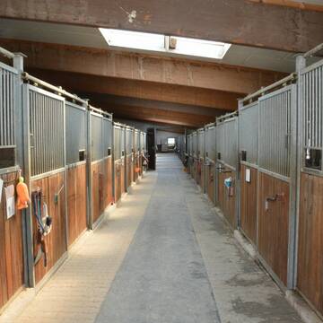 Stall mit Außen- und Innenboxen