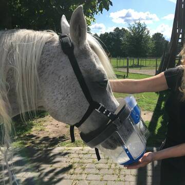 Bild: Service in  Ludwigsfelde