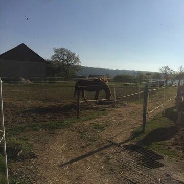 Bild: Stall in  Kunreuth