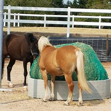 Heuhaufen im Ad Libitum Bereich