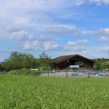 Bild: Stall in  Hochstadt