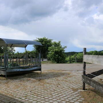 Bild: Stall in  Hochstadt