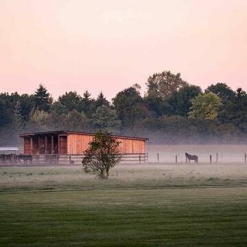Bild: Stall in  Eicherloh