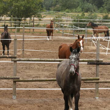 Bild: Stall in  Seeheim
