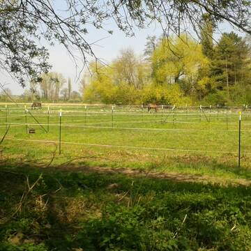 Bild: Stall in  Billigheim-Ingenheim