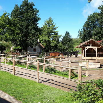 Bild: Stall in  Nottuln