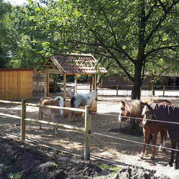 Bild: Stall in  Nottuln