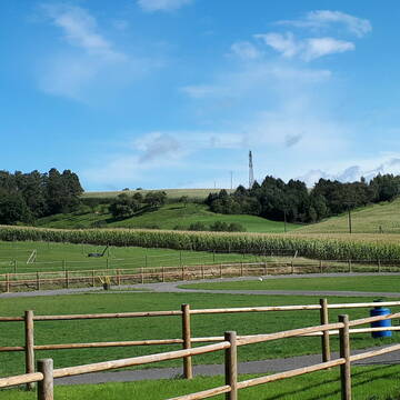 Bild: Stall in  Nottuln