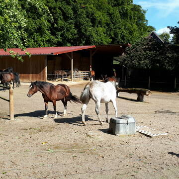 Bild: Stall in  Nottuln