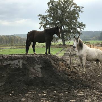 Gern bestiegener Kletterberg