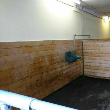 Bild: Stall in  Rottweil