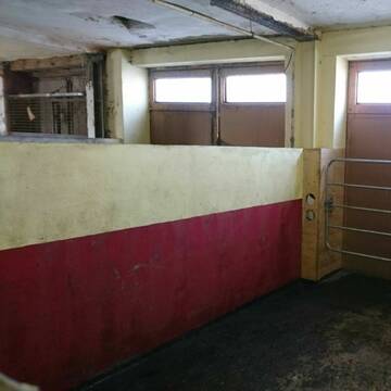 Schöne, helle Boxen