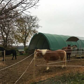 Bild: Stall in  Idstein