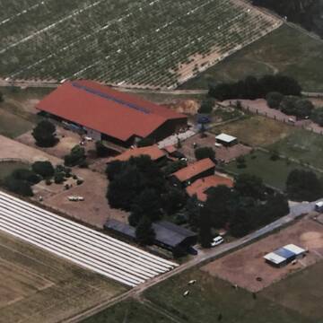 Bild: Stall in  Braunshardt