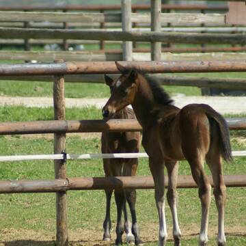 Bild: Stellenmarkt in  Hochheim am Main