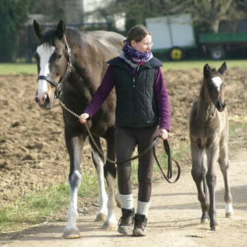 Bild: Stellenmarkt in  Hochheim am Main