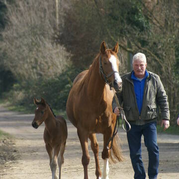 Bild: Stellenmarkt in  Hochheim am Main