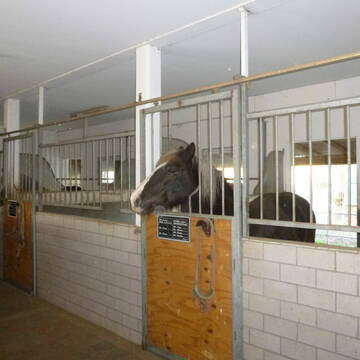 Bild: Stall in  Biebelnheim