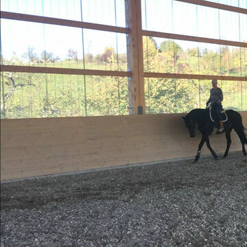 Bild: Stall in  Rheinfelden (Baden)