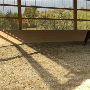 Bild: Stall in  Rheinfelden (Baden)