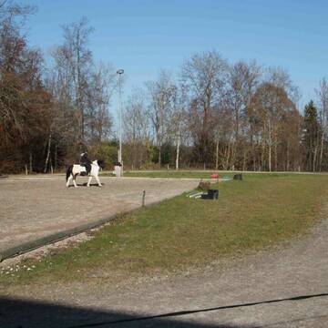 Ovalbahn und Dressurviereck